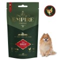 Adult Pomeranian.jpg