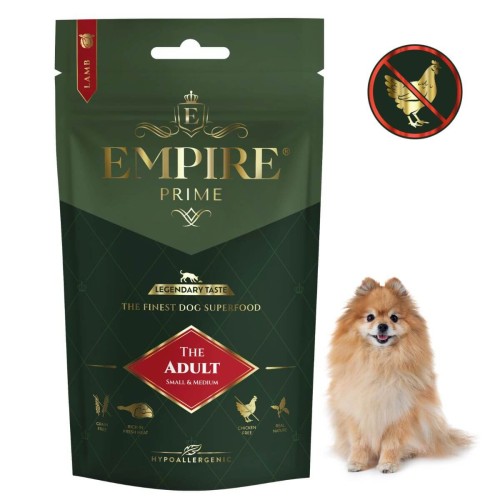 Adult Pomeranian.jpg