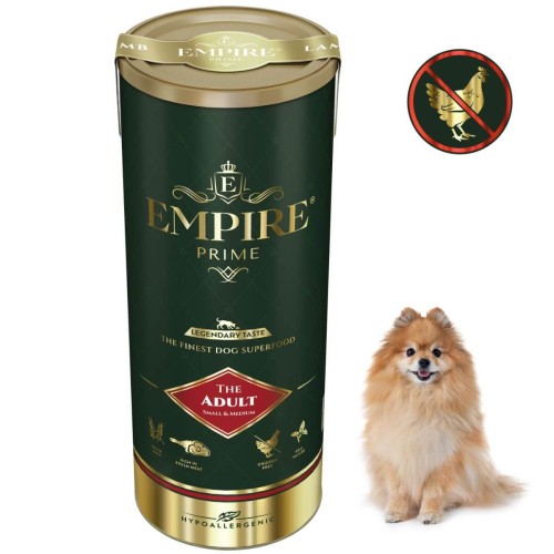 Adult Pomeranian.jpg