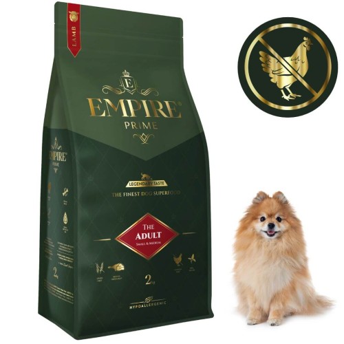 Adult Pomeranian 2kg.jpg