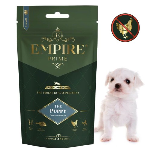 Puppy Matańczyk.jpg