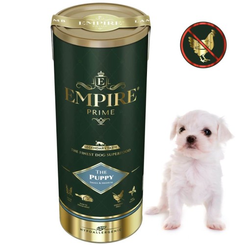 Puppy Matańczyk.jpg