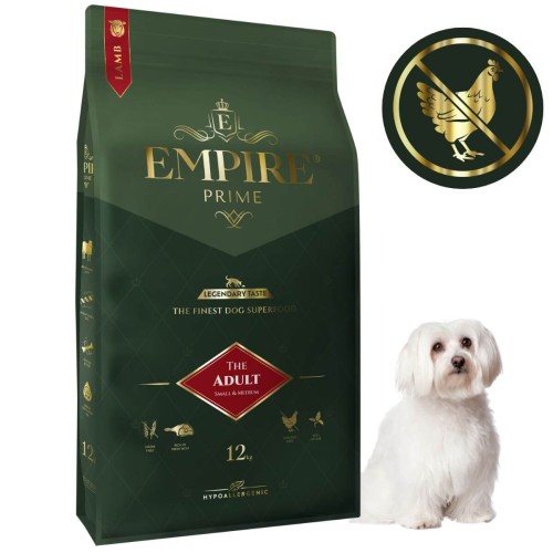 Adult Maltańczyk 12kg.jpg