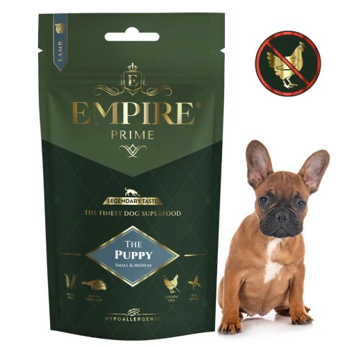 Puppy Bulldog Francuski.jpg