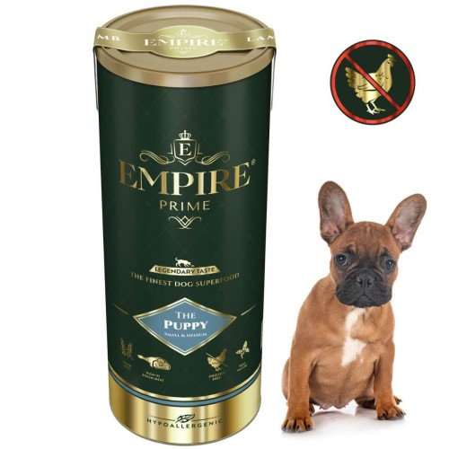 Puppy Bulldog Francuski.jpg