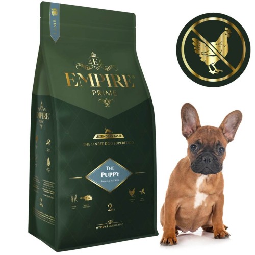 Puppy Bulldog Francuski 2kg.jpg