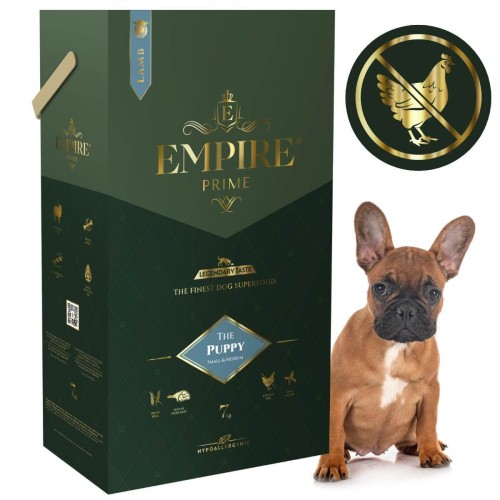 Puppy Bulldog Francuski 7kg.jpg