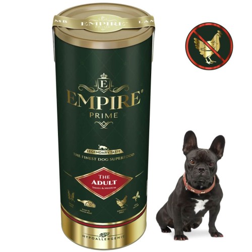 Adult Bulldog Francuski.jpg