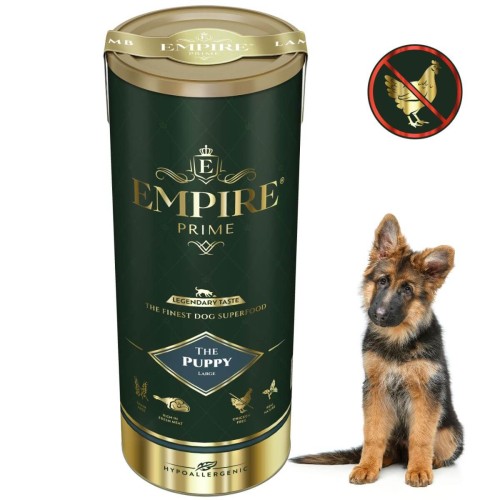 Puppy Owczarek.jpg