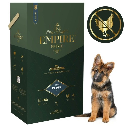 Puppy Owczarek 7kg.jpg