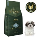 Puppy ShihTzu 2kg.jpg