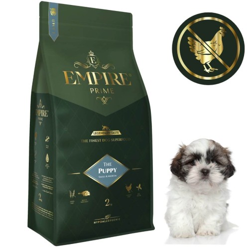 Puppy ShihTzu 2kg.jpg