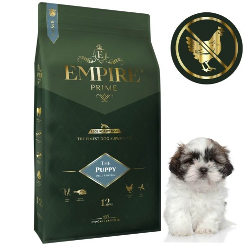 Puppy ShihTzu 12kg.jpg