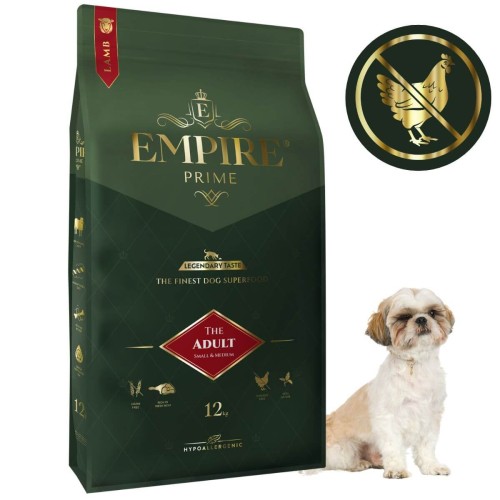 Adult ShihTzu 12kg.jpg