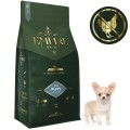 Puppy Chihuaha 2kg.jpg