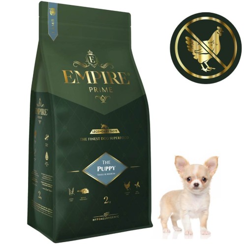 Puppy Chihuaha 2kg.jpg