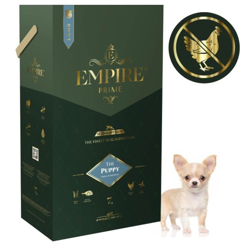 Puppy Chihuaha 7kg.jpg