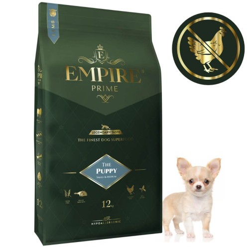 Puppy Chihuaha 12kg.jpg