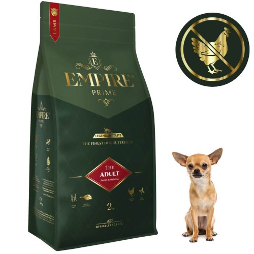 Adult Chihuaha 2kg.jpg