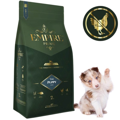 Puppy Border Collie 2kg.jpg