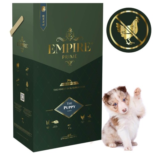 Puppy Border Collie 7kg.jpg