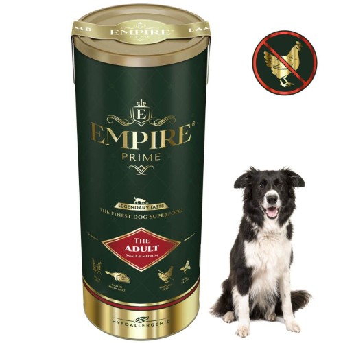 Adult border collie 340g.jpg