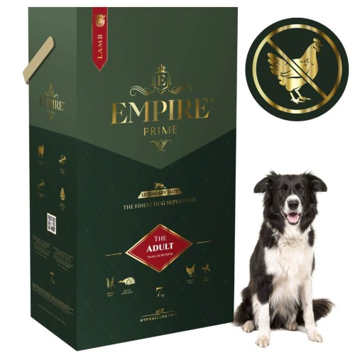 Adult border collie 7kg .jpg