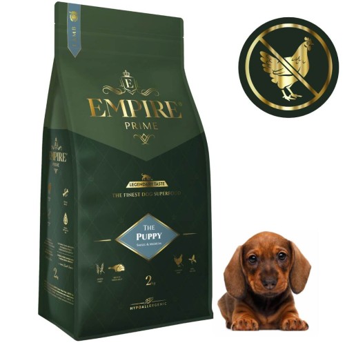 Puppy jamnik 2kg.jpg