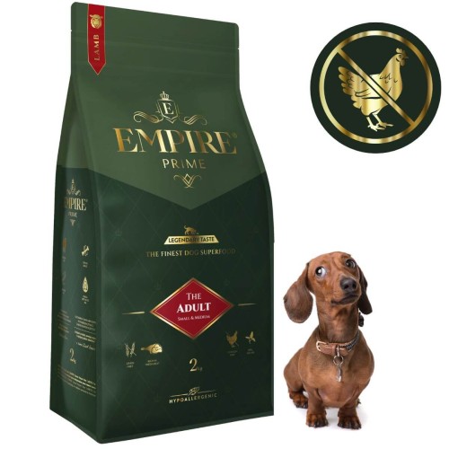 Adult jamnik 2kg.jpg