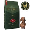 Adult jamnik 12kg.jpg