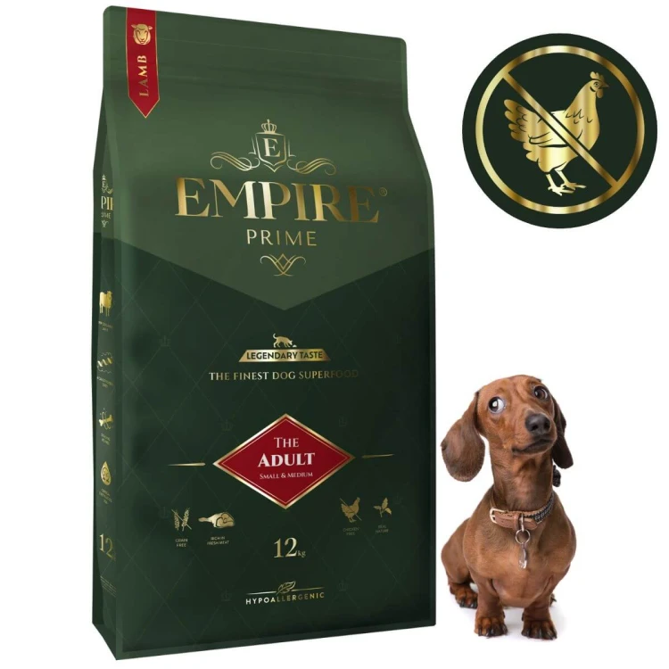 Adult jamnik 12kg.jpg