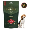 Adult Beagle.jpg