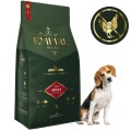 Adult Beagle 2kg.jpg