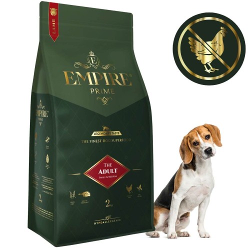 Adult Beagle 2kg.jpg