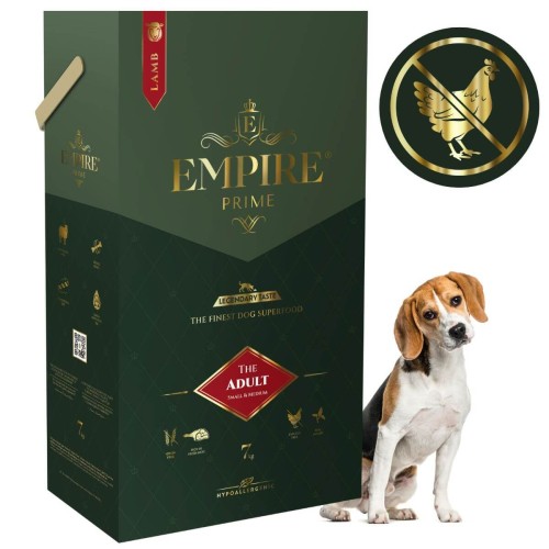 Adult Beagle 7kg.jpg