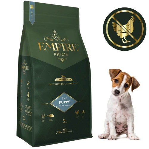 Puppy Jack Russel 2kg.jpg