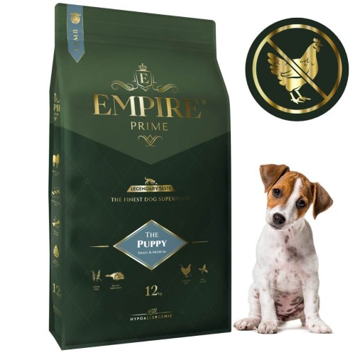 Puppy Jack Russel 12kg.jpg