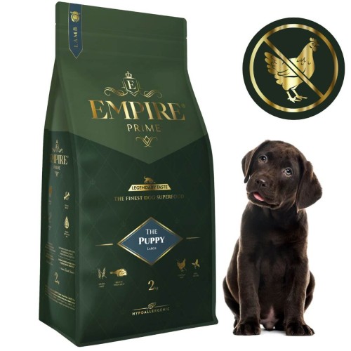 Puppy Labrador 2kg.jpg