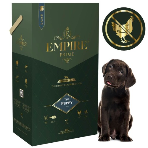 Puppy Labrador 7kg.jpg