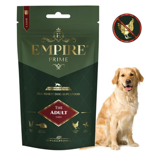 Adult Golden.jpg