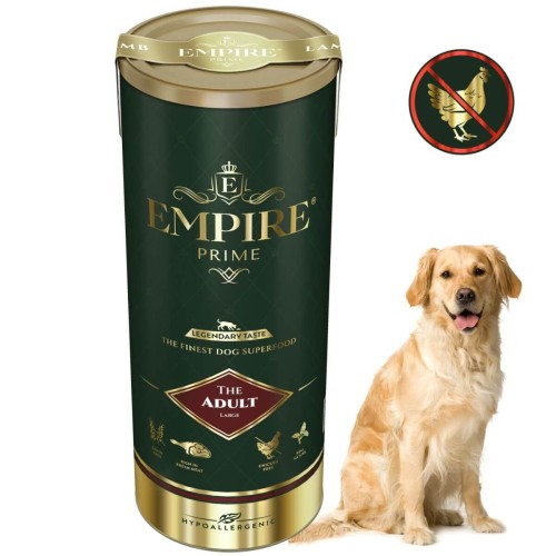 Adult Golden.jpg