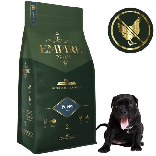 Puppy American Bully 2kg.jpg