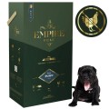 Puppy american bully 7kg.jpg