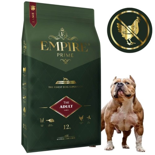 Adult American Bully 12kg.jpg