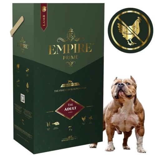 Adult american bully 7kg.jpg