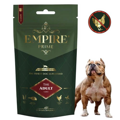 Adult american bully 50g.jpg