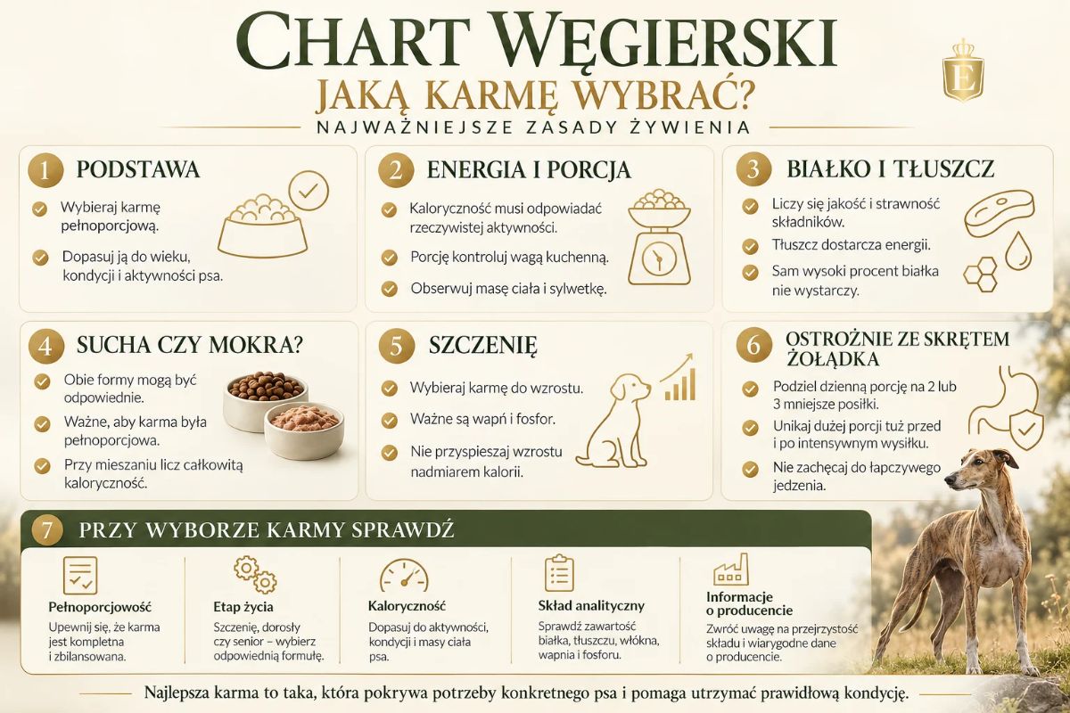chart-wegierski-jaka-karme-wybrac-infografika