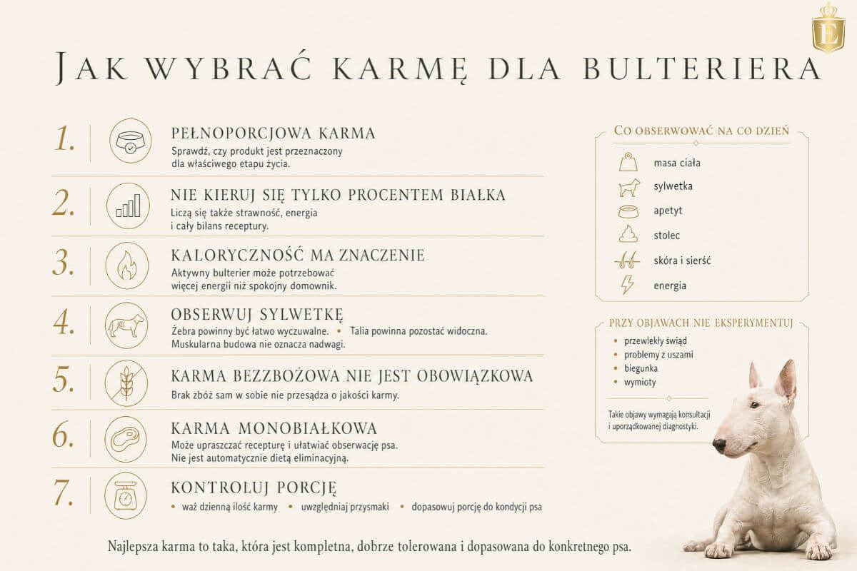 bulterier-jaka-karme-wybrac-infografika
