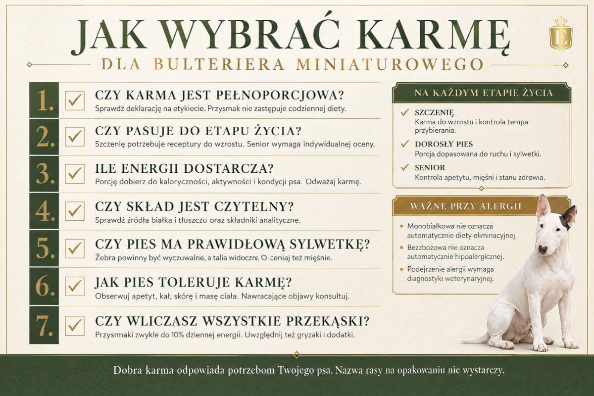 bulterier-miniaturowy-jaka-karme-wybrac-infografika
