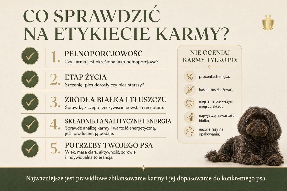rosyjska-bolonka-kolorowa-jaka-karme-wybrac-infografika